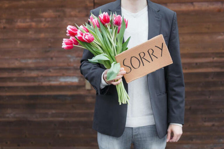 Apology Apology