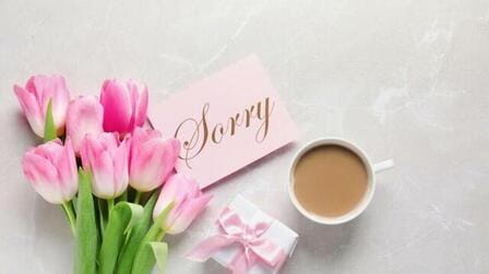 Should I Apologize With A Gift?