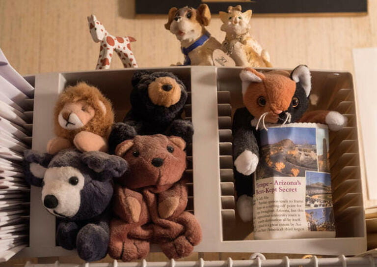 Display of small stuffed animals in an office environment. Display of small stuffed animals in an office environment.