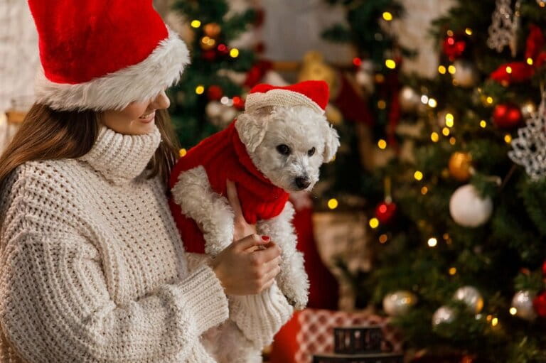 Young woman standing next to Christmas tree, holding her cute dog, both wearing Santa hats Young woman standing next to Christmas tree, holding her cute dog, both wearing Santa hats