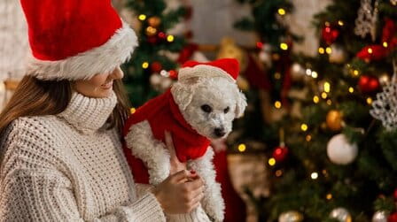 What To Give Someone Who Lost A Pet